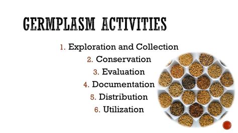 Germplasm Activities Plant Genetic Resources YouTube