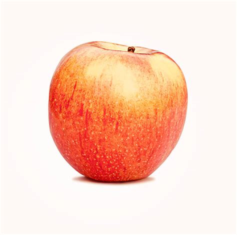 Best Fuji Apple Stock Photos Pictures And Royalty Free Images Istock