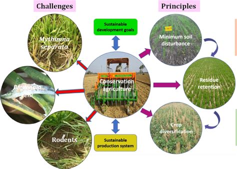 Schematic Diagram Of Conservation Agriculture Ca Production System Download Scientific