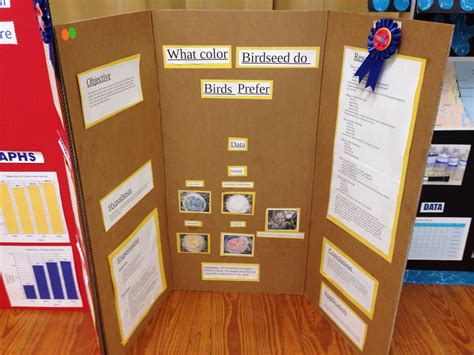 Pine Trail's winning Science Fair Projects - Mrs. Schandel's 5th Grade Gifted