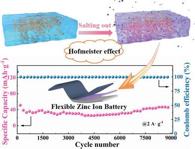 “Salting out” in Hofmeister Effect Enhancing Mechanical and ... 