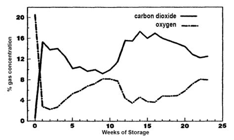 Average Carbon Dioxide And Oxygen Concentrations In A GrainPro Cocoon