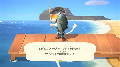 【あつ森】ロウニンアジは激レア級だと思う。300餌でも出ない（出現場所情報） スプラ3＆あつ森 徹底攻略処