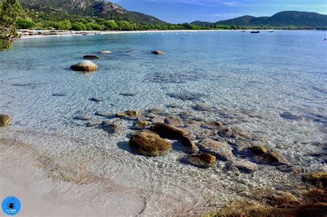 La Plage De Palombaggia En Corse Porto Vecchio