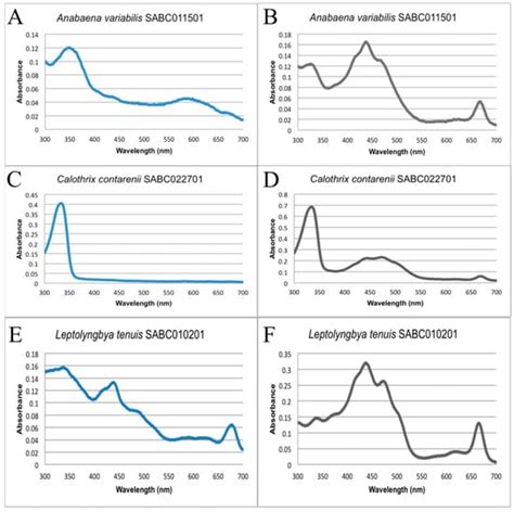 Sustainability Free Full Text Rapid Screening For Mycosporine Like