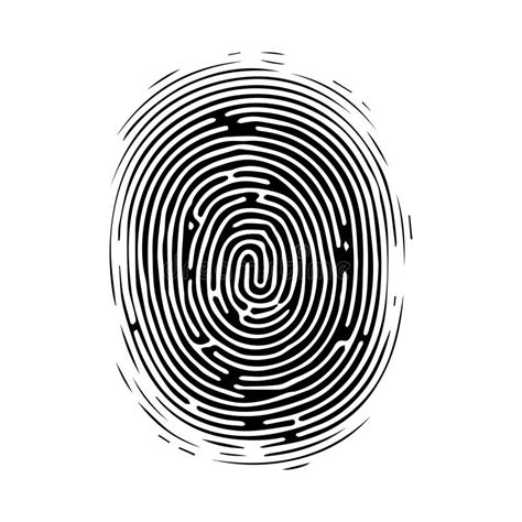 Fingerprint Pattern Clear Lines And Swirls Human Thumbprint Icon