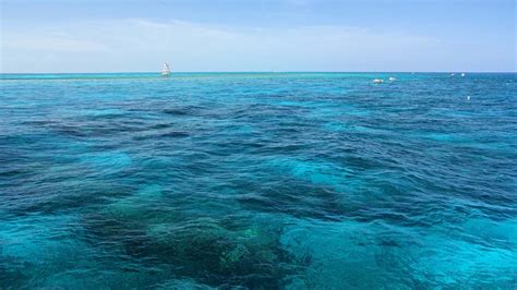 7 Most Beautiful Key West Snorkeling Spots