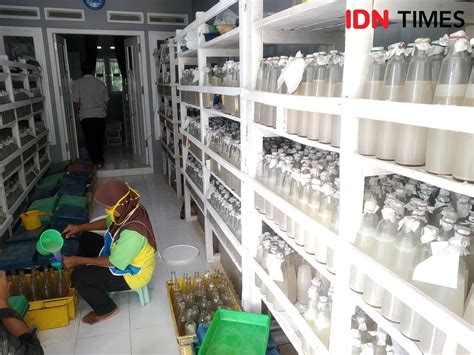 Difabel Asal Ciamis Ini Sukses Merintis Usaha Beromset Ratusan Juta