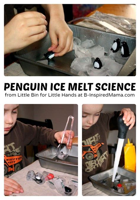 Penguin Ice Melt Science For Kids Science For Kids Penguins Fun Science