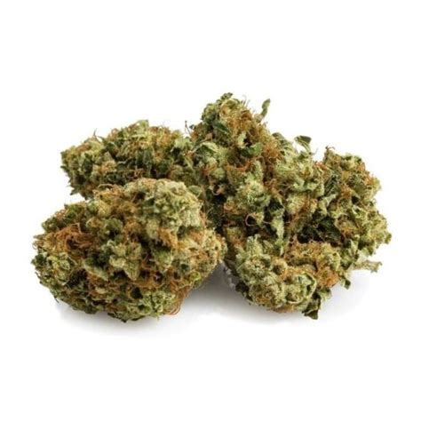 Buy Mk Ultra Feminized Seeds By Supreme Genetics In America Stellar Seeds