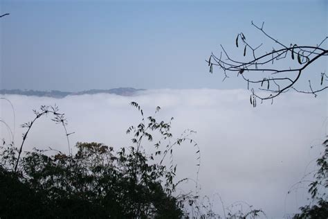 Free Images Tree Water Nature Branch Snow Winter Cloud Sky