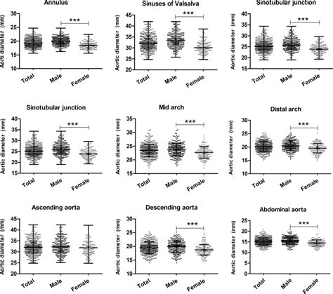 Sex Difference In Each Level Of Aortic Dimension Download Scientific