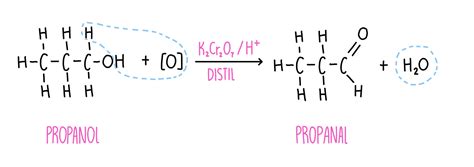 Alcohols The Science Sauce