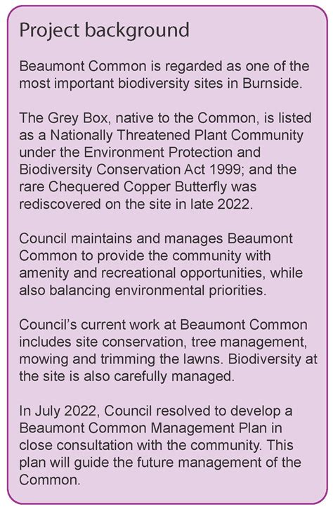 Draft Beaumont Common Management Plan Engageburnside