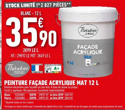 Offre Peinture Façade Acrylique Mat 12l Théodore Chez Brico Cash