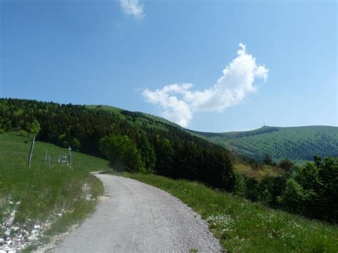 Sentiero Dell Acquedotto E Delle Prese Del Monte Cesen Pianezze