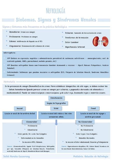 S Ntomas Signos Y S Ndromes Renales Juliet Morales Cazaurang Udocz