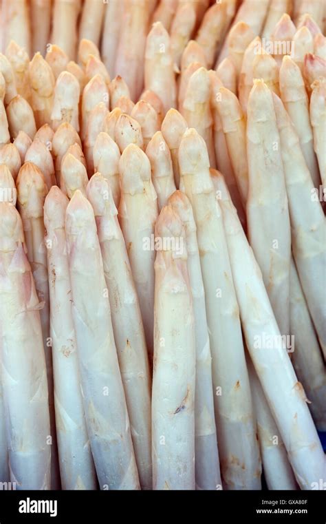 Asparagus Stock Photo Alamy