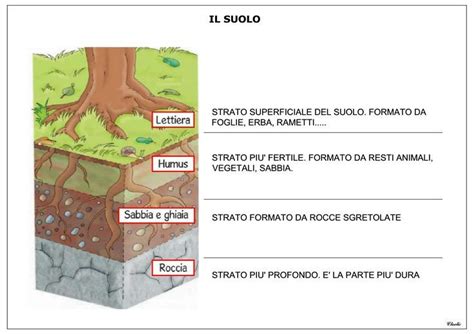 Il Suolo Scienza Scienza Natura Lezioni Di Scienze