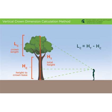 Urban Forestry Figures Forest Carbon And Climate Program