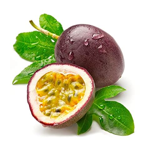 Buy Nellie Kelly Grafted Black Passion Fruit Plant Vine Also Know Scientifically As Passiflora