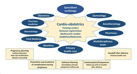 Cardio Obstetrics A Critical Growing Subspecialty Abc Cardiol