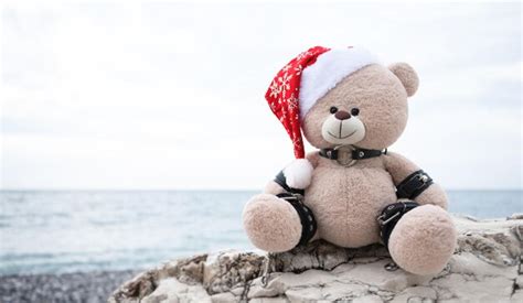 Premium Photo Bdsm Accessories On A Plush Christmas Bear In A Santa