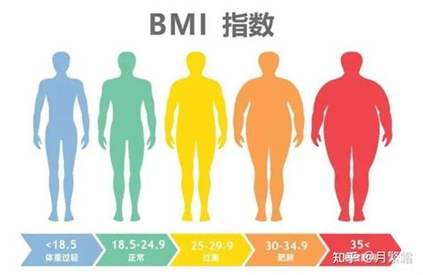 尿酸正常值是多少？2021尿酸“新标准”发布 知乎