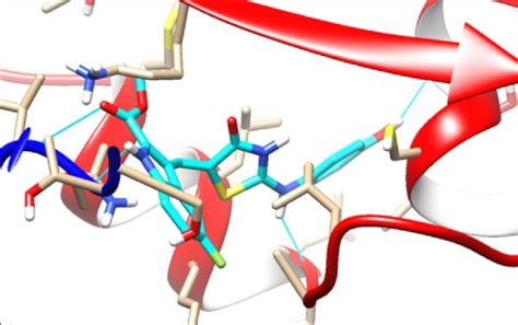 Interaction Of The Compound C With The Colchicine Binding Site Of