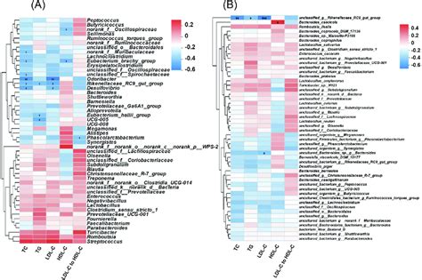 Spearman S Correlation Analysis Between Serum Biochemical Indexes And