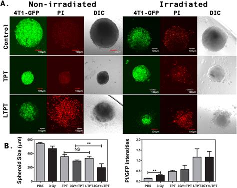 Enhanced Cytotoxicity In TES Upon Combined Treatment With A Low