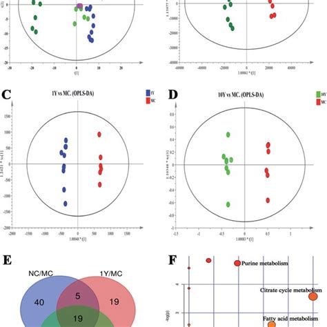 Pca Opls Da Score Plots Of The Serum Metabolite Profiles A Venn