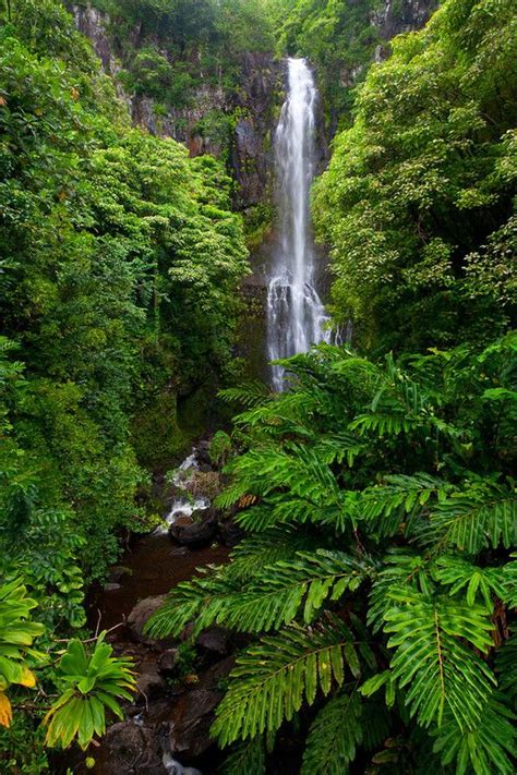 Kipahulu Ohe O Gulch Seven Sacred Pools Haleakala National Park Maui