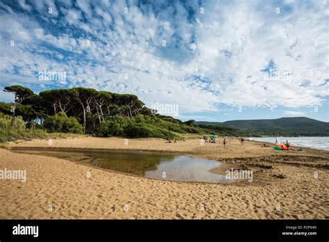 Livorno italy beach hi-res stock photography and images - Alamy