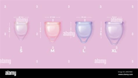 Realistic Menstrual Cups 3d Menstruation Cup Different Size Width