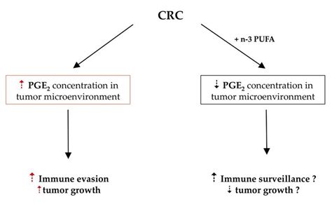 Possible Effect Of N Pufa In Colorectal Cancer In Analogy To The