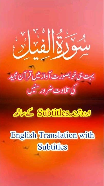 Surah Fil Feel With Urdu English Translation Shorts Surah