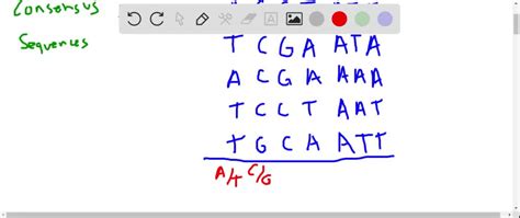 SOLVED What Is The Consensus Sequence Of The Following Six DNA