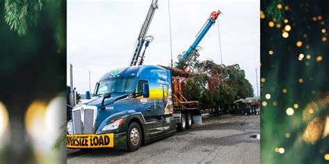 Behold The Kenworth T680 Next Gen Delivers The Capitol Christmas Tree