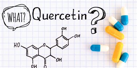 What Is Quercetin Overview Benefits Sides Effects Uses And Properties Welltopia