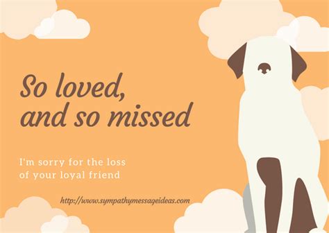 Pet Condolence Messages And Quotes Sympathy Card Messages