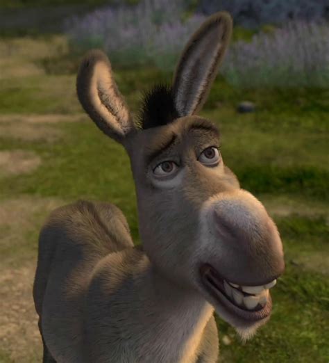 Donkey Dreamworks Animation Wiki Fandom