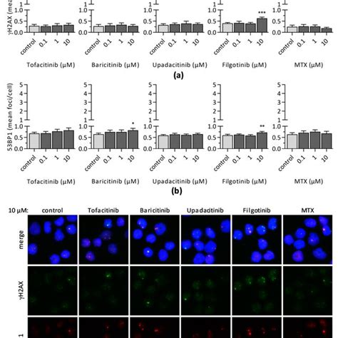 The Mean Number Of A H Ax And B Bp Foci Per Cell Were Assessed