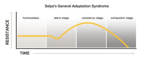 Three stages of stress identified by Hans Selye. | Download Scientific ...