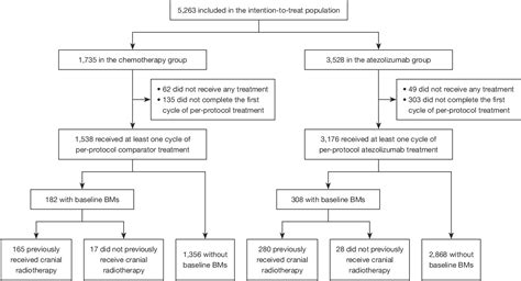 Figure 1 From Potential Synergistic Effects Of Cranial Radiotherapy And