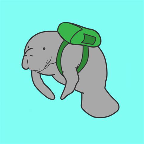 Manatee Backpack GIFs - Get the best GIF on GIPHY