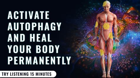 Autophagy Activation Hz Heals Regenerates Tissues Alpha Waves