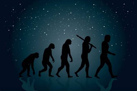 Royalty Free Human Evolution Clip Art, Vector Images & Illustrations - iStock