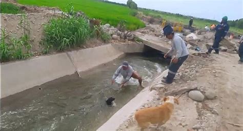 Obreros Rescatan A Perrito Que Era Arrastrado Por Agua Video