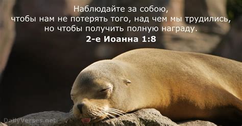 2-е Иоанна 1:8 - Библейский стих - DailyVerses.net